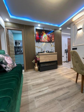 A comfortable apartment